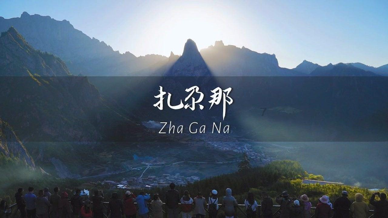美元走软刺激空头回补，食糖价格反弹