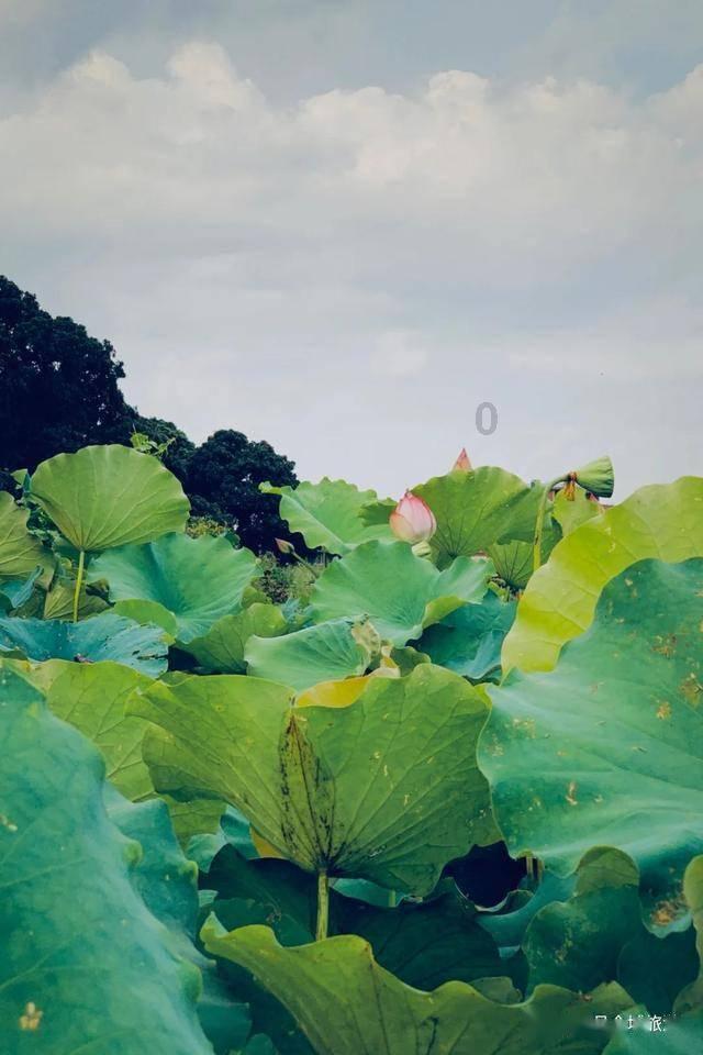 好像又是你对喔怎么会回复呢？游戏画面